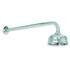 Lefroy Brooks Belle Aire 5" Rose with 490mm Shower Arm