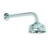 Lefroy Brooks Belle Aire 5" Rose with 330mm Shower Arm